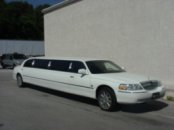 Limo Picture
